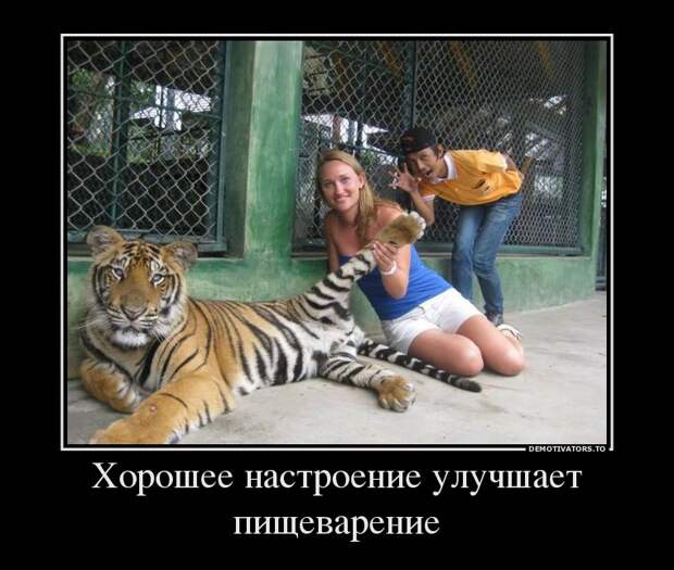Демотиваторы демотиваторы