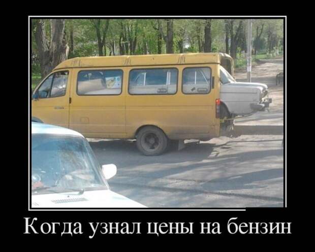 Демотиваторы №1091 (30 фото)