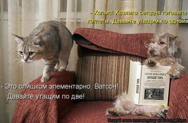 Новые юморные котоматрицы (27 шт) Новые юморные котоматрицы (27 шт)