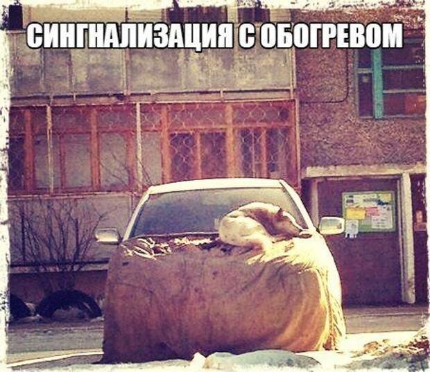 Прикольные картинки на автотематику (26 фото)