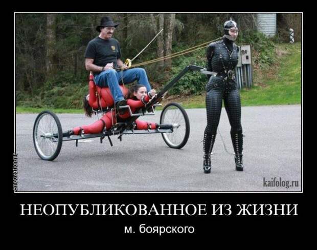 Демотиваторы - 287 (45 демок)