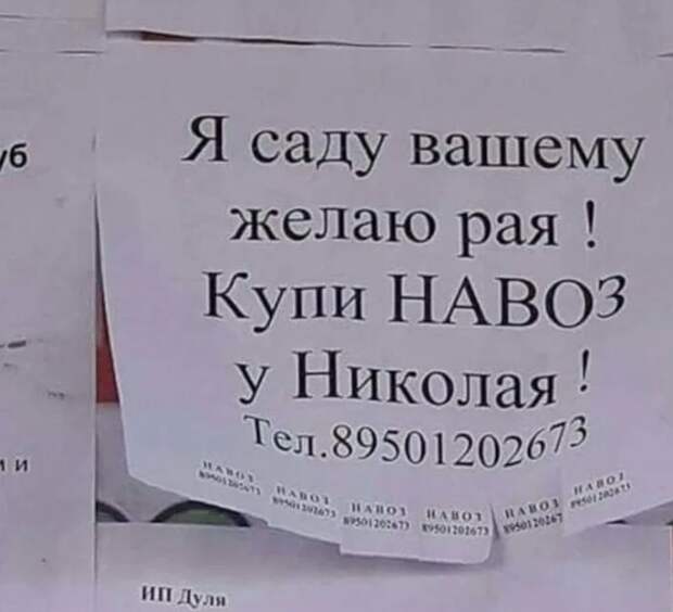 Угарная подборка объявлений из России, креативности которых позавидовали бы даже в США.