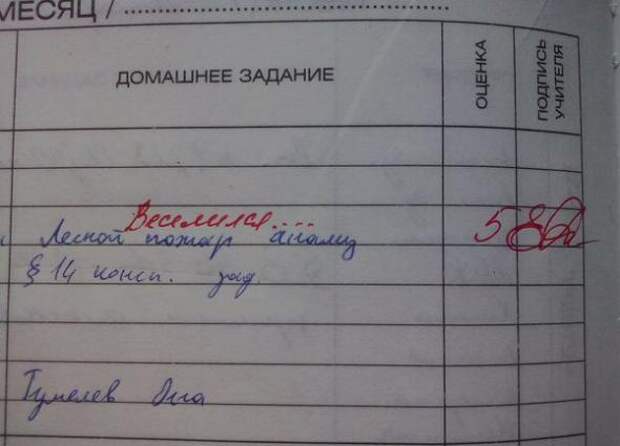 Картинки, юмор, приколы