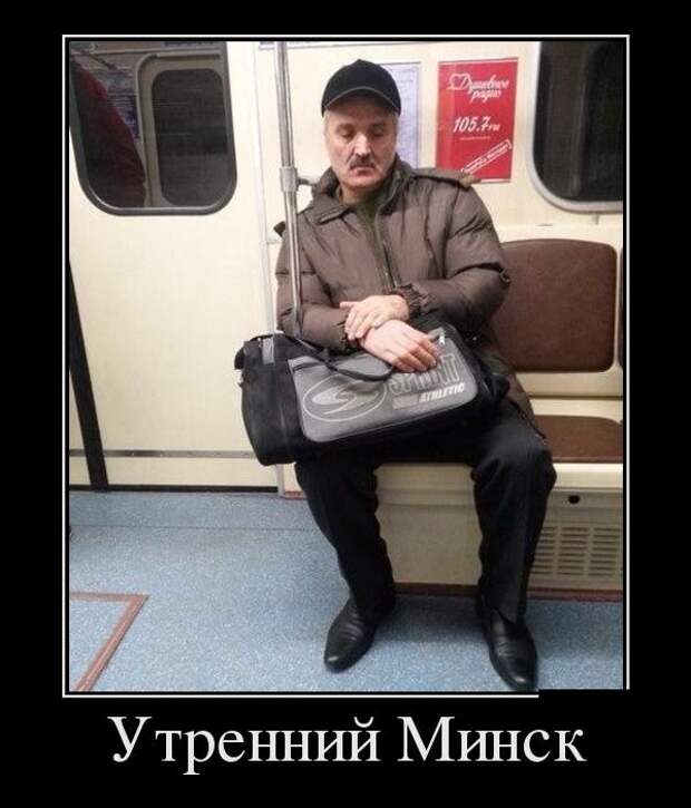 Демотиваторы бревно, демотиваторы, юмор