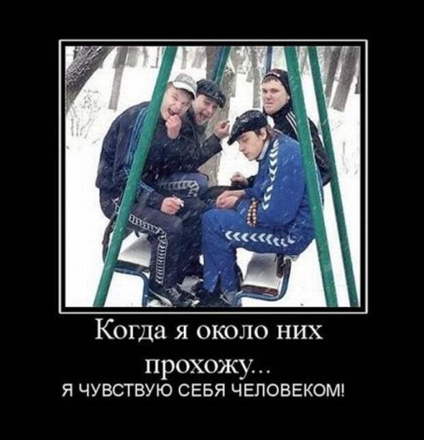 Мои любимые демотиваторы