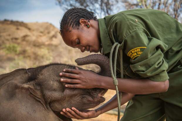 Reteti Elephant Sanctuary, Kenya Ami Vitale | Missoula, United States