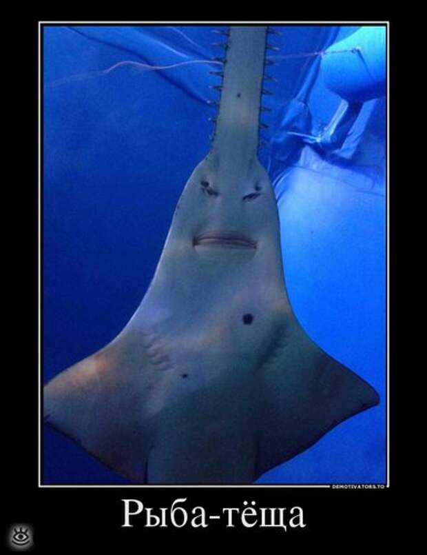 Демотиваторы на 9 марта 29