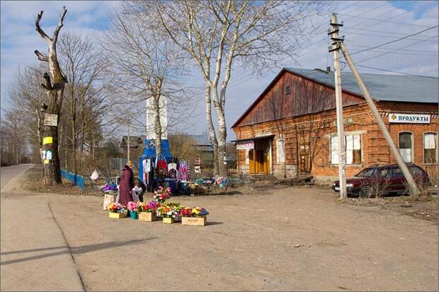 Весенняя прогулка