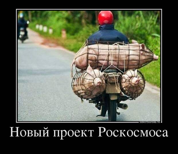 Демотиваторы демотиваторы