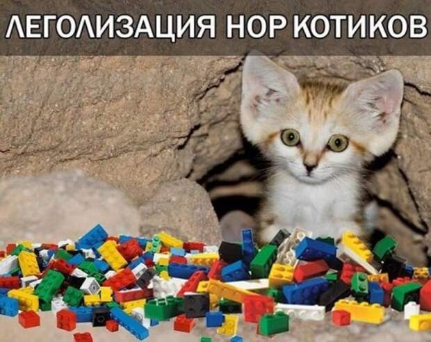 Забавных картинок пост (53 шт)