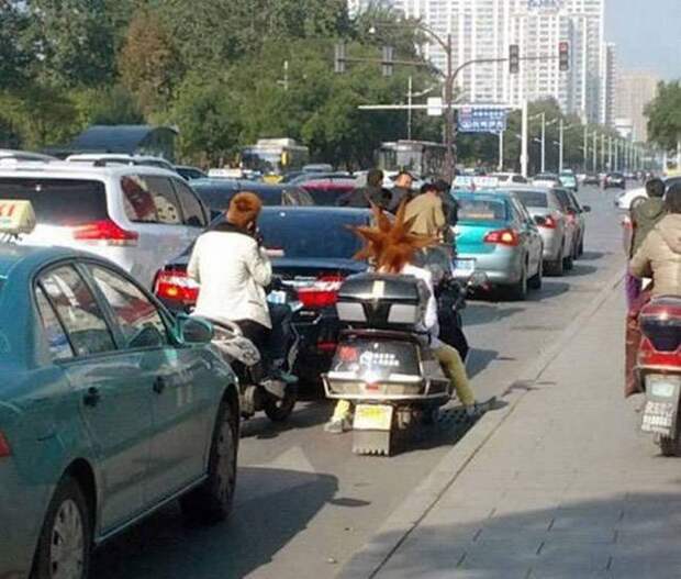 Автомобильный юмор авто, юмор
