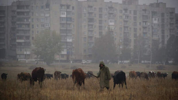 Ситуация в Донбассе. Архивное фото