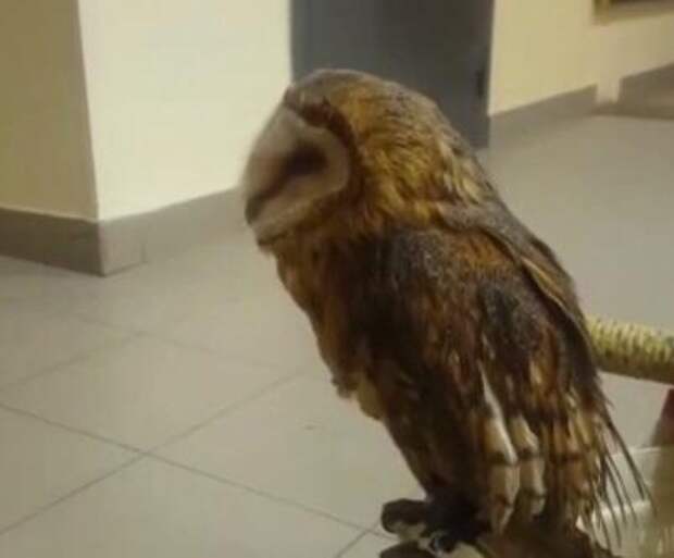 Заключение