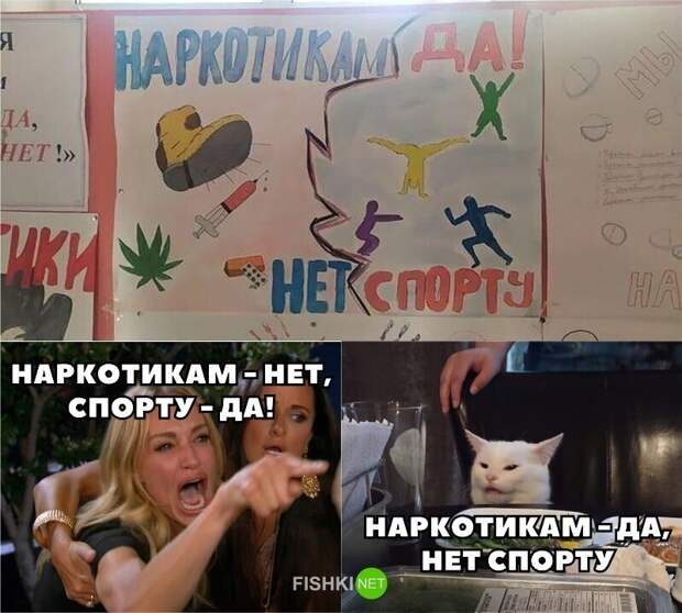 И снова всё опровергающий котик И снова всё опровергающий котик