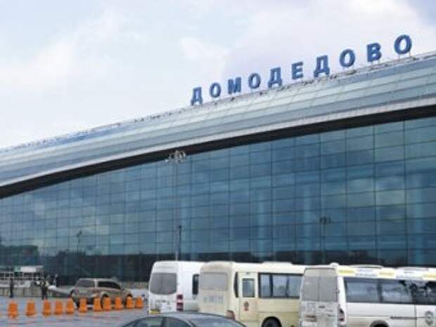 В аэропорту Домодедово нашли тело новорожденного ребёнка В аэропорту Домодедово нашли тело новорожденного ребёнка