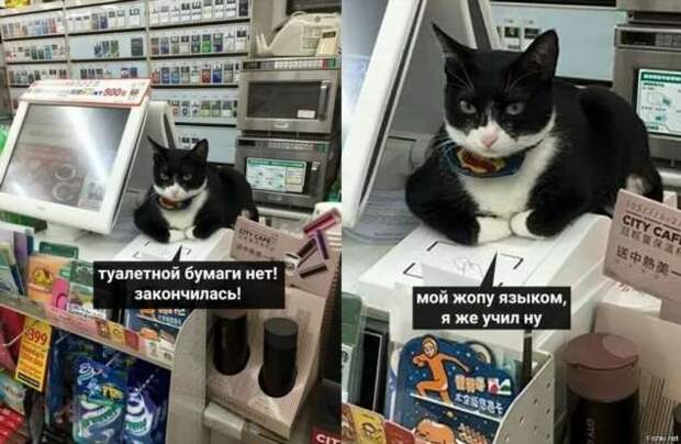 Демотиваторы про коронавирус с надписями. Подборка chert-poberi-dem-koronavirus-chert-poberi-dem-koronavirus-08320614122020-2 картинка chert-poberi-dem-koronavirus-08320614122020-2