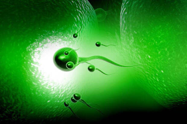 5765a1adbd9f0d46dbb0639abfe0f8ed