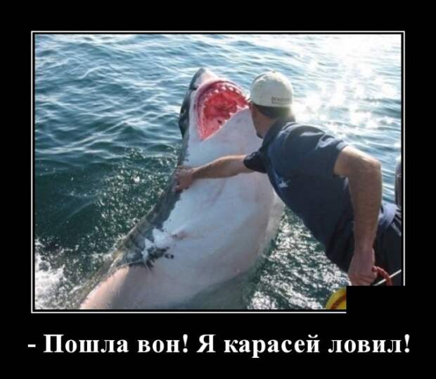 Демотиваторы (20 фото)