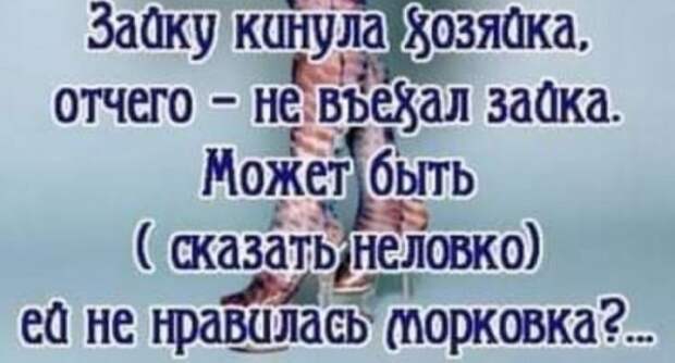 bredzona-kartinki-smeshnye-kartinki-fotoprikoly