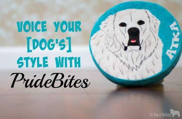 Have you tried the personalized pet products from #PrideBites? Not much better than a custom frisbee with a handsome Great Pyrenees on it! Check out why we love PrideBites and their appearance on ABC's Shark Tank!
