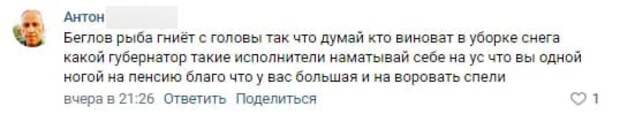 Петербуржцы определили виновных в некачественной уборке снега