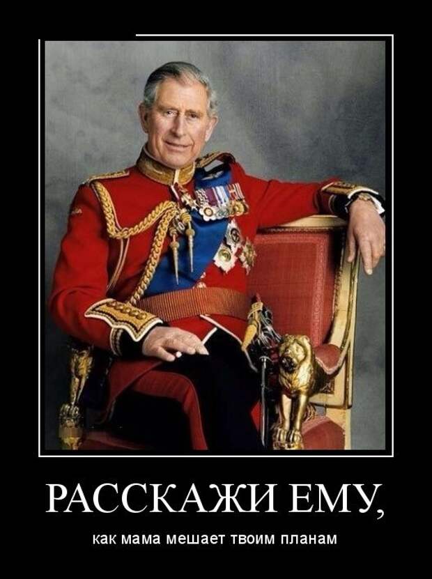 Демотиваторы (30 фото)