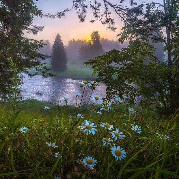 kartinok-veselyh-interesnyh-kartinki-smeshnye-kartinki-fotoprikoly kartinok-veselyh-interesnyh-kartinki-smeshnye-kartinki-fotoprikoly