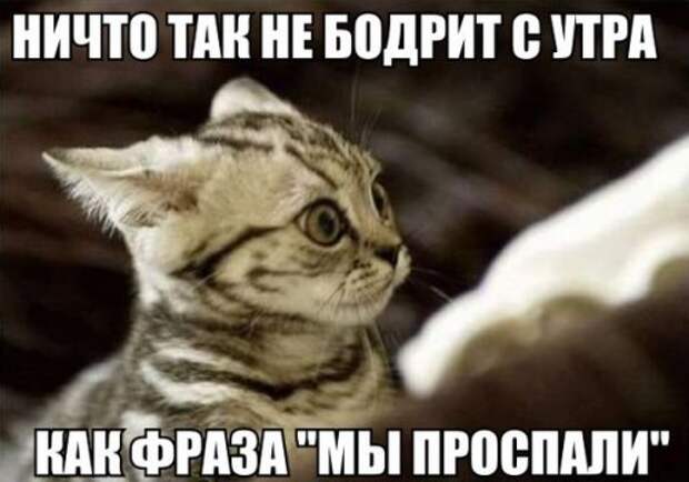 Прикольные фотомемы на Бугаге (33 шт)