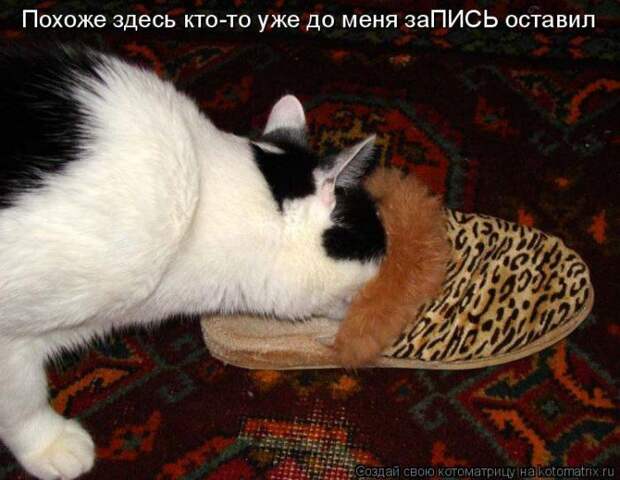 Мысли вслух :)