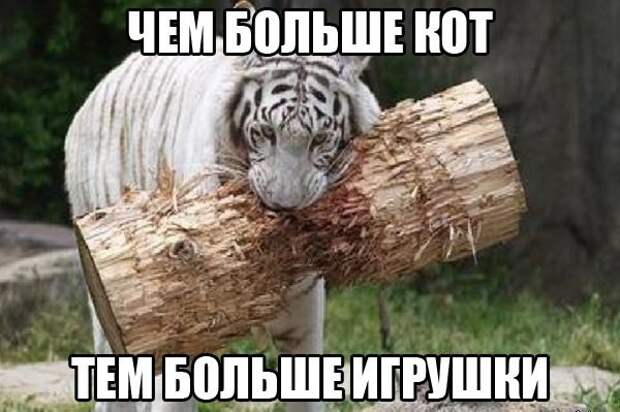 Смешные картинки с надписями прикол, юмор
