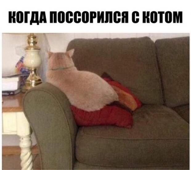 Прикольные картинки с подписями (23 шт)