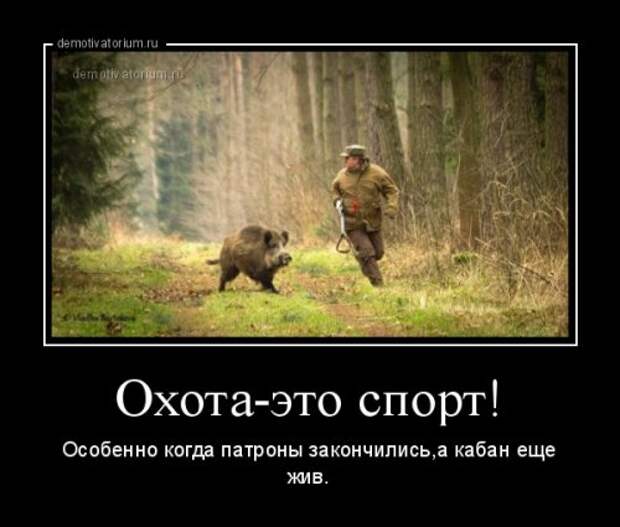 Свежие демотиваторы-приколы (14 шт)