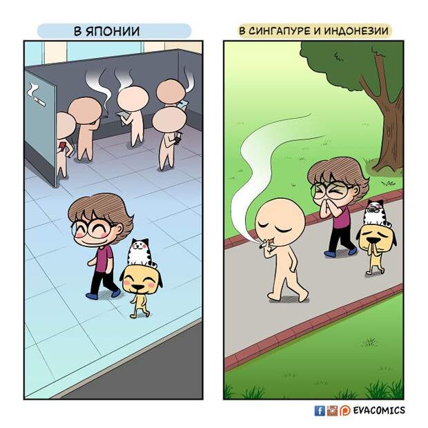 Я живу в Японии и вижу культурные различия между ней и другими странами
