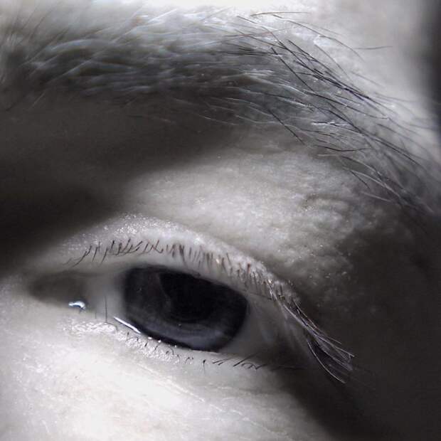 В день рождения Макгрегор получит свою огромную статую весом 100 кг и стоимостью 66 тысяч баксов