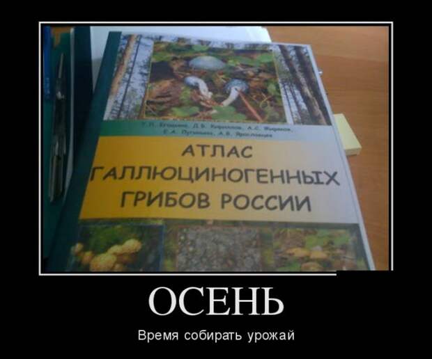 Демотиваторы (30 фото) Демотиваторы (30 фото)