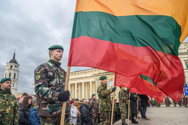 "Не просто покровительствуют": Литва поддерживает боевиков для свержения власти в Белоруссии - Алейник