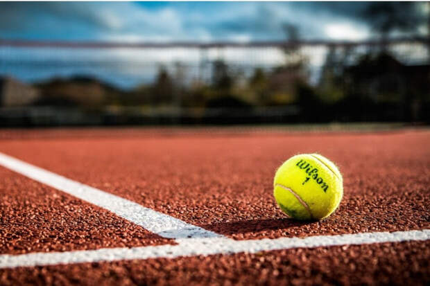 Теннисистка Свитолина прокомментировала выход в полуфинал Australian Open