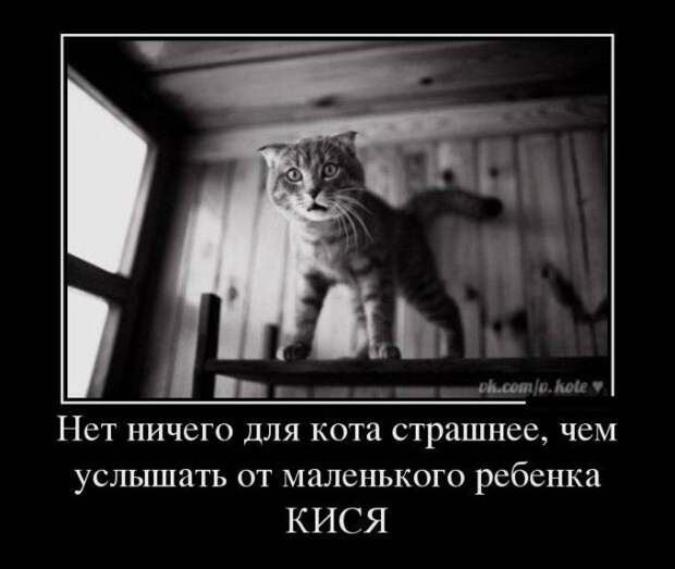 Демотиваторы демотиваторы, прикол, смех, юмор