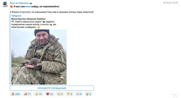 Десантники РФ ведут телеграм енота из Херсона. На видео – животное с военными на левом берегу Днепра