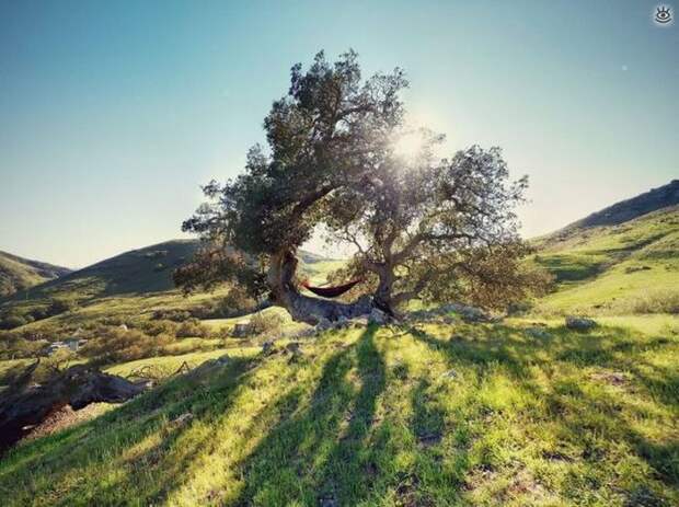 Забавности и оригинальности 9