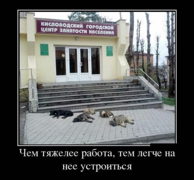 Демотиваторы злобные