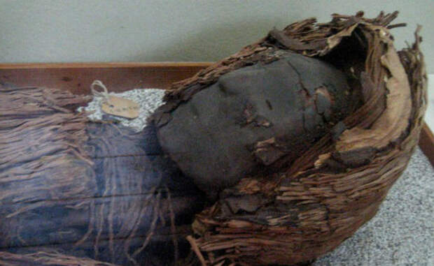 На самом деле, первые мумии делали не египтяне. Южно-американское племя чинчорро мумифицировало погибших еще семь тысяч лет назад. Причем, процедуре подвергались как уважаемые члены самого племени, так и враги — последних пытались мумифицировать прижизненно, вливая в их тела специальные растворы.