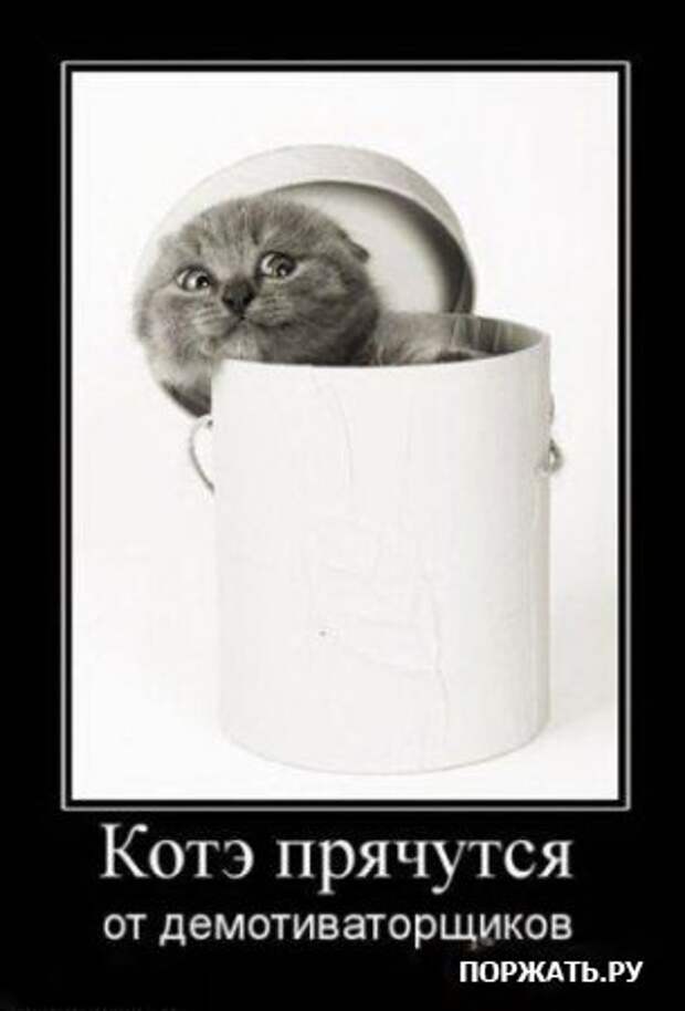 Демотиваторы про котэ (30 фотэ)
