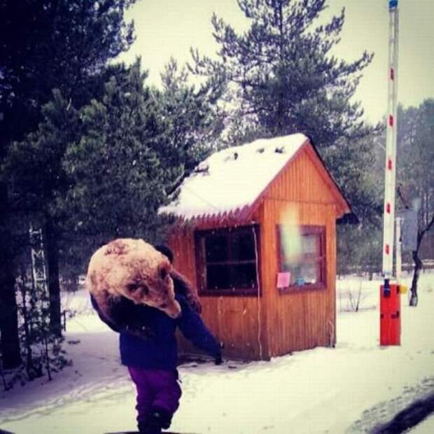 Пьющий медведь горе в семье