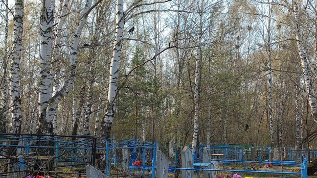 Священник объяснил, можно ли ставить крест на могиле некрещёного человека