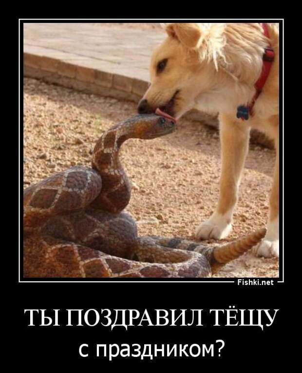 Демотиваторы  демотиваторы, прикол, смех, юмор