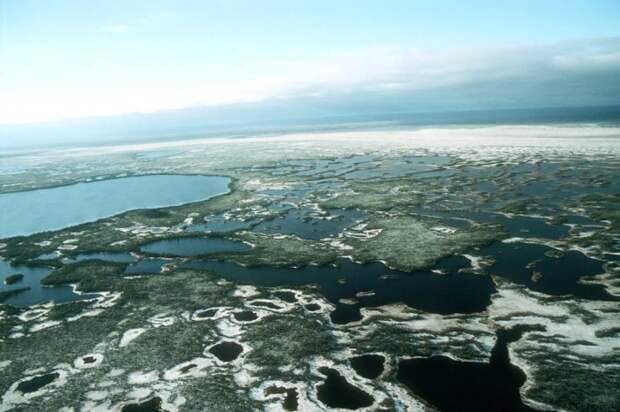Большие Васюганские болота в Западной Сибири.