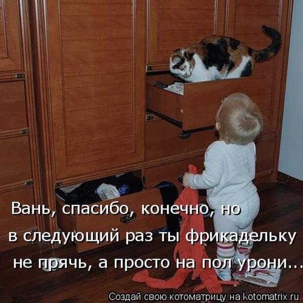 Свежая котоматрица (33 фото)