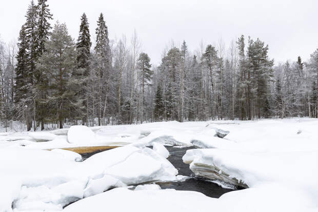 В Омске троих мужчин задержали за похищение человека