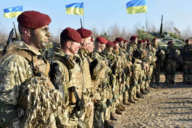Шмыгать озвучил сумму, которая ежемесячно уходит на содержание армии